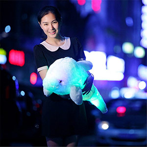 Colorful luminous dolphin doll
