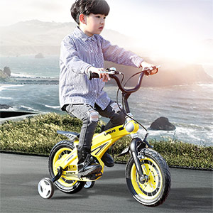 Boys Alloy Bicycle