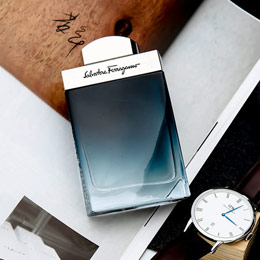 Ferragamo Blue Men's Perfume