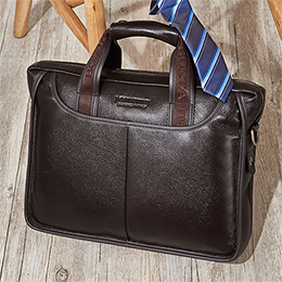 Bosdenton men's business briefcase