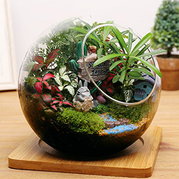 Moss micro landscape ecological bottle