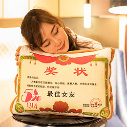 Creative Certificate Personalized Pillow