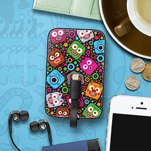 Blackfish card power bank