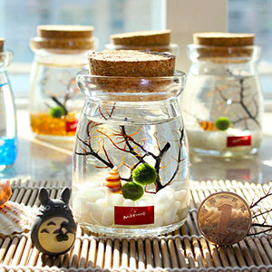 Happy seaweed ball eco bottle