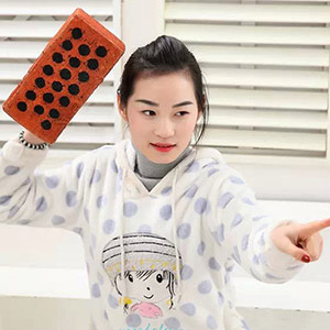 Interesting imitation brick pillow