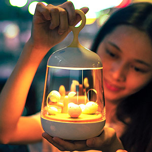 Creative music birdcage lamp