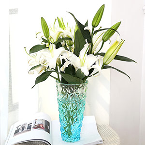 Gradient glass vase