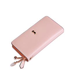 Scarecrow Candy Color Women's Wallet