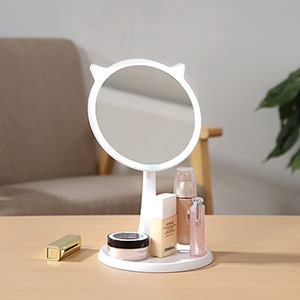 LED princess light makeup mirror