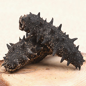 Dalian wild sea cucumber gift box