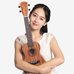 Beginner's guitar