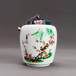 Painted white porcelain tea caddy