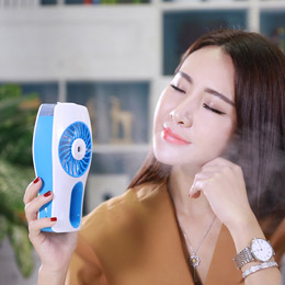 Mini portable mist fan