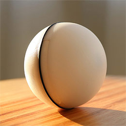 Cat toy ball