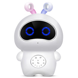 Children's companion conversation robot