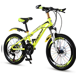 UBE children's double suspension bicycle
