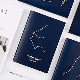 Small fresh and cute constellation notebook