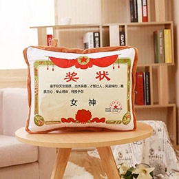 DIY Creative Certificate Pillow