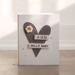 Baby Growth DIY Memorial Album