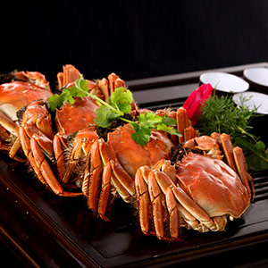 Yangcheng Lake hairy crab gift box