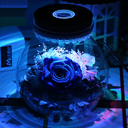 Colorful Preserved Flower Series Gift Box