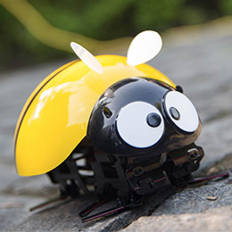 Intelligent ladybug toy robot