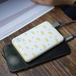 Japanese style small fresh mobile power bank