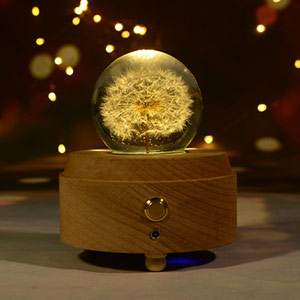 Dandelion crystal ball music box