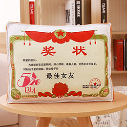 Creative retro award pillow
