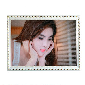 1000 Piece Photo Jigsaw Frame