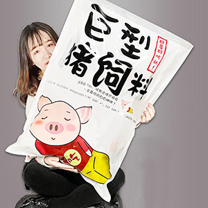 Giant Pig Feed Snack Gift Pack