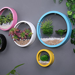 Creative rain wall hanging potted plant