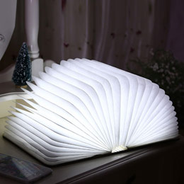 Creative LED color changing book light