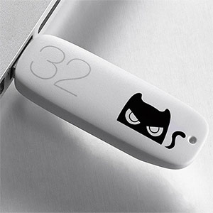 Black Cat High Speed 32G Creative USB Flash Drive