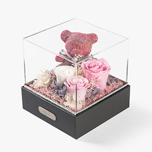 Moss Bear Everlasting Flower Gift Box