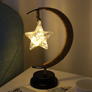 LED Star Moon Light