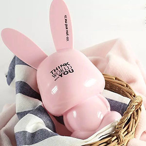 Girly Rabbit Piggy Bank