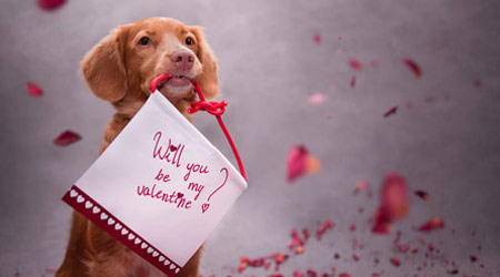 12 birthday gifts for singles