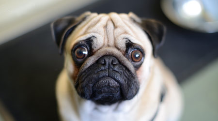 Give singles these Chinese Valentine's Day gifts to warm their hearts