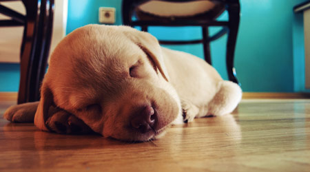 These gifts for singles on Valentine's Day cause 10,000 critical hits