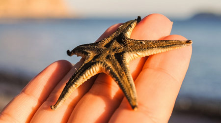 Gifts that bring luck and good fortune