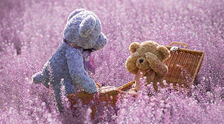 10 Cute Dolls That Are So Cute That They'll Make You Love The Galaxy