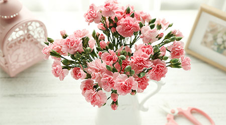 10 kinds of flowers you can give your mother on Women's Day