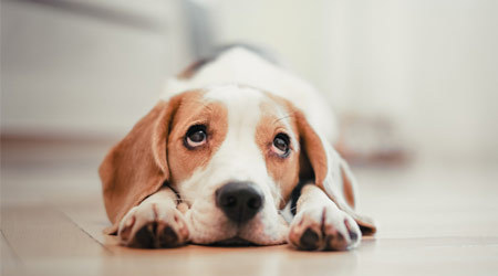 October 10th is the Cute Day. A collection of cute gifts