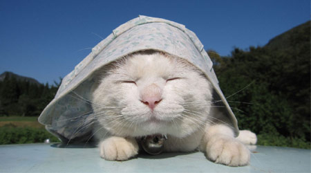 October 10th is the cute day for gift selection, a large number of cute things are coming