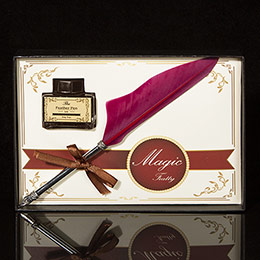Vintage Feather Pen Set