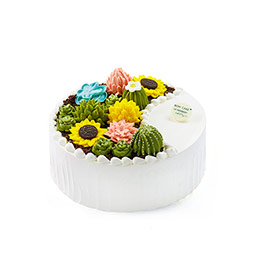 Succulent Rainbow Birthday Cake