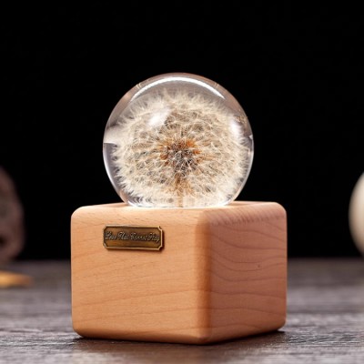 Dandelion crystal ball music box