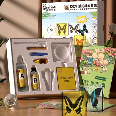 Children's Insect and Plant Specimen Making