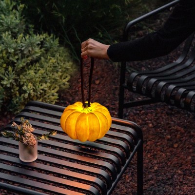 Halloween portable pumpkin lantern